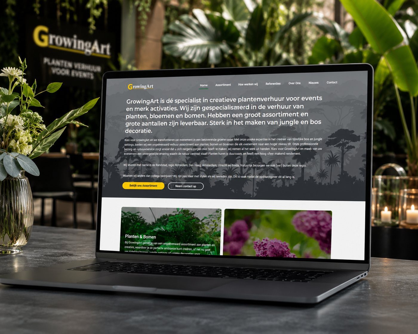 Voorbeeld van website laten maken door LarsWebdesign, zoals wij dat ook in Oss doen